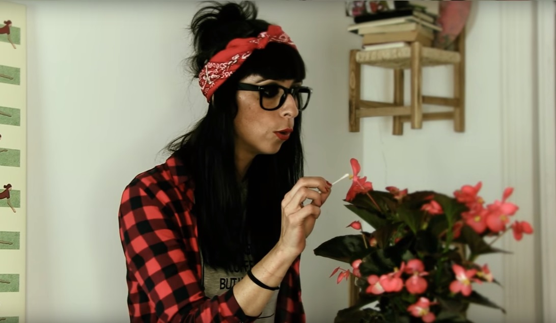 Una profesión con futuro: Polinizador humano