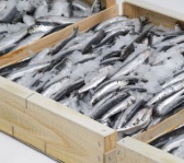 Los embalajes sostenibles y la Nueva Ley de Residuos