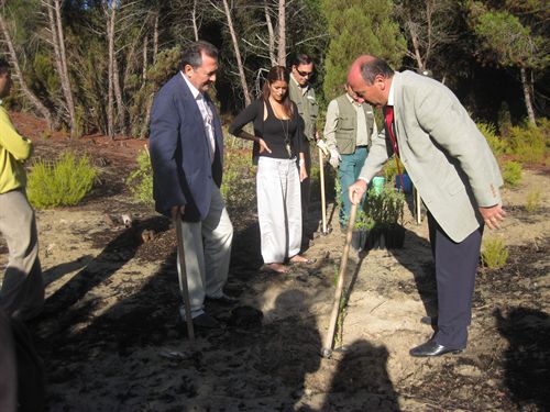 La Junta inicia la segunda fase del programa para recuperar el enebro costero en la provincia