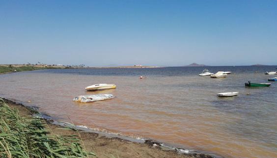 Barcos y patrullas a pie monitorizarán diariamente el Mar Menor para evaluar su estado