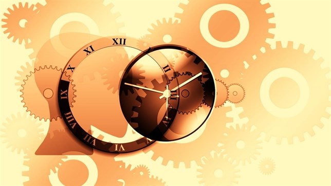 Se descubre cómo los animales miden el tiempo para reproducirse