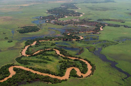 Marcha indígena en defensa de la amazonía boliviana: solidarízate
