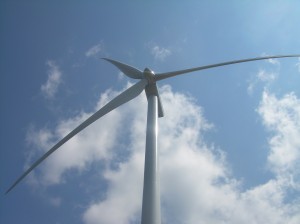 Todo sobre la ‘Eólica’