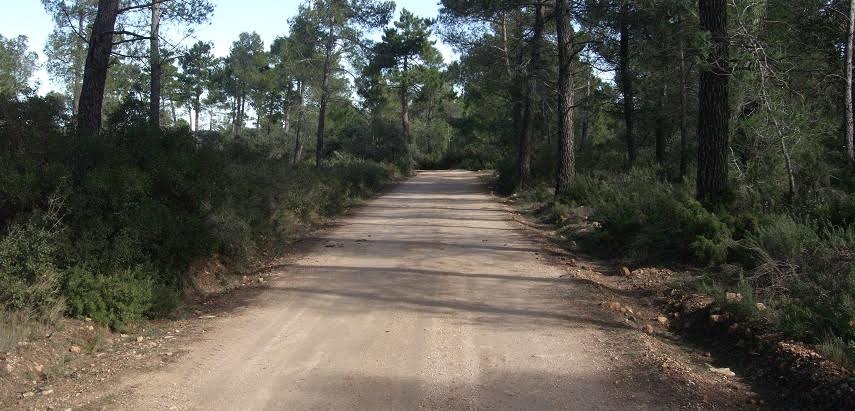 Se restringe el acceso de vehículos a motor por la pista forestal del Monte Abantos para evitar incendios