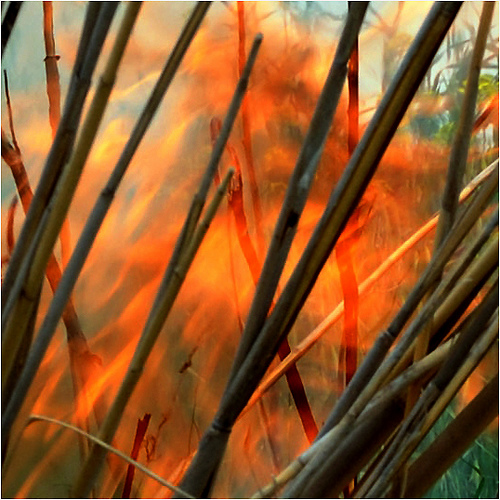 El Govern catalán no tiene "nada que esconder" en el incendio de Horta (Tarragona)