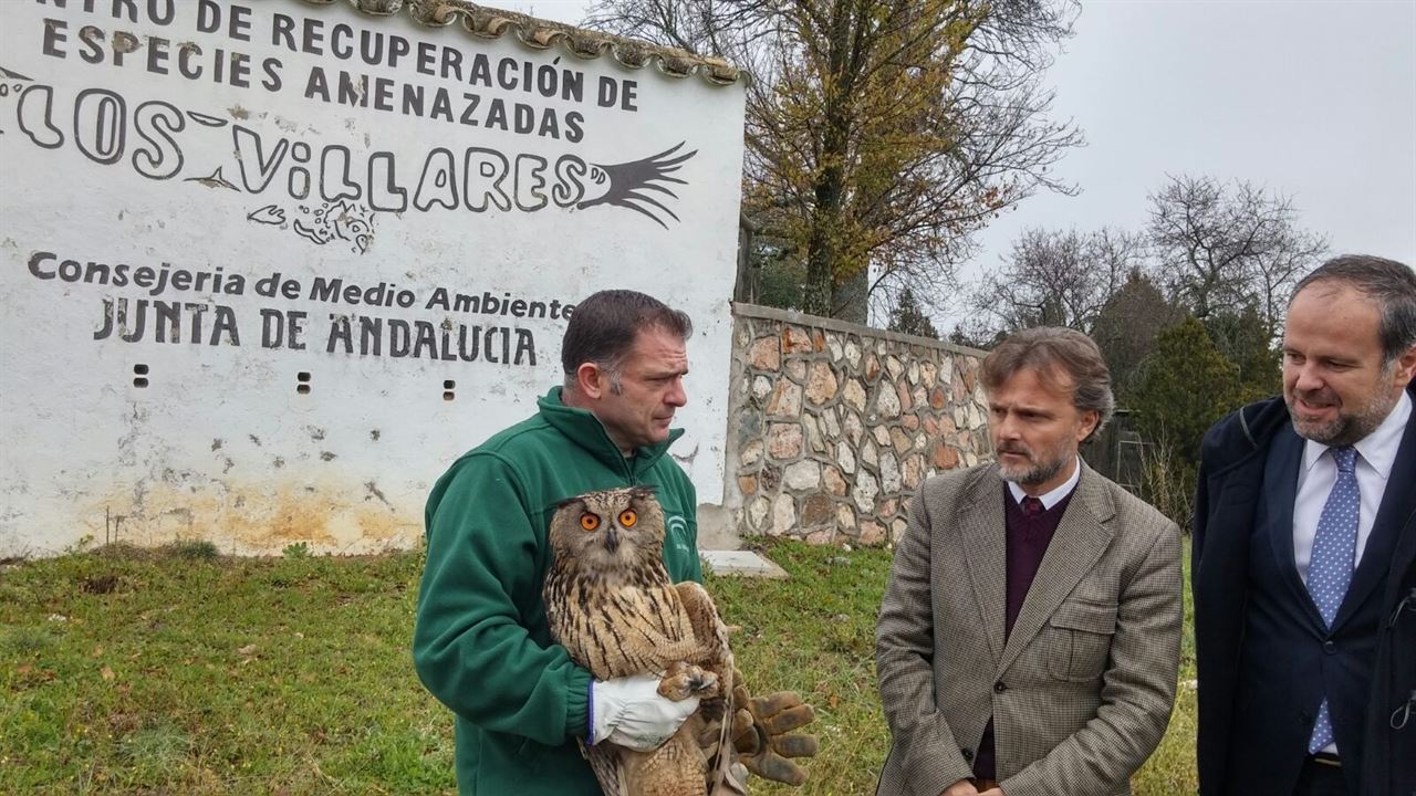 Andalucía. El CREA de Los Villares ha atendido en tres décadas 12.000 ejemplares
