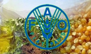 La FAO ‘alaba’ las políticas agroambientales de América Latina