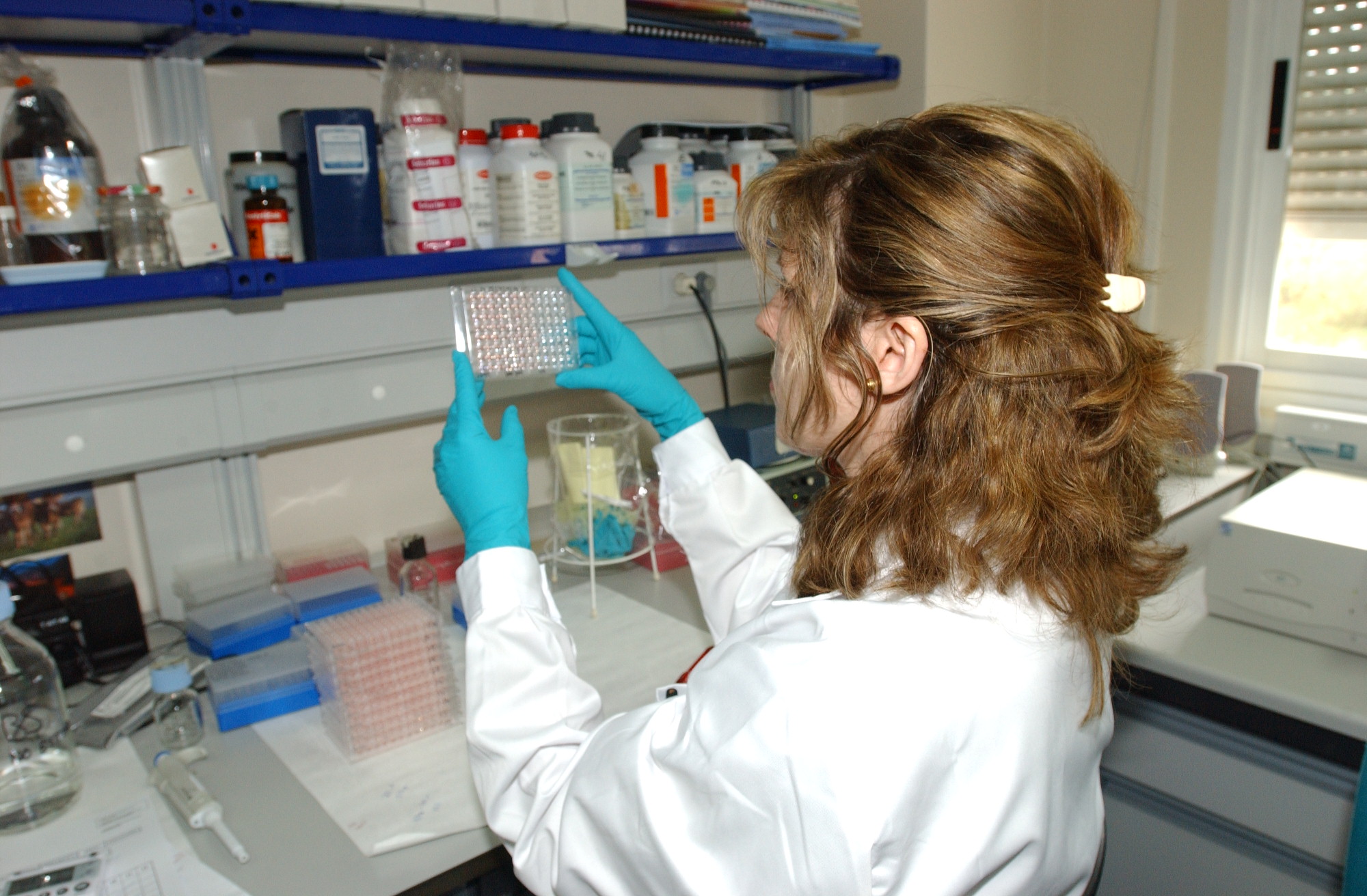 El Gobierno regula la venta a distancia de medicamentos veterinarios