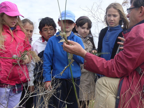 Paseos botánicos para descubrir las plantas y hongos de la provincia de Palencia