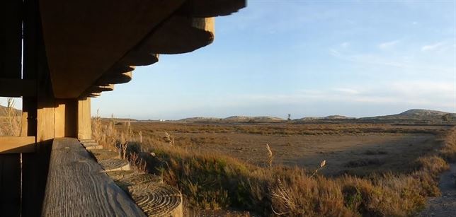 Denuncian la desaparición del ‘farfet’ un pez protegido en las balsas de las Salinas del Rasall