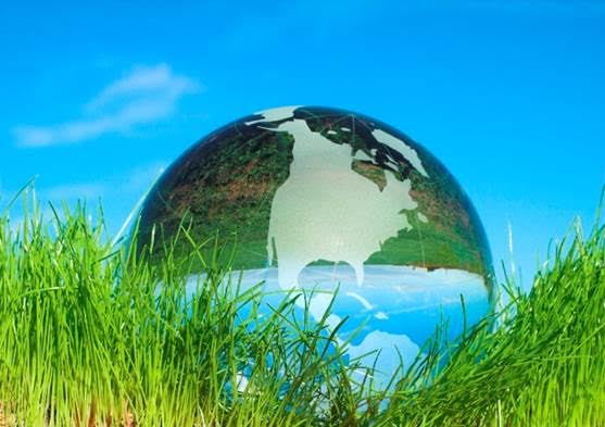 Estás buscando formarte en el sector medio ambiental