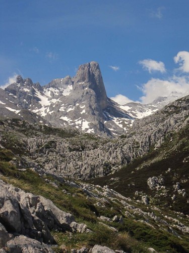La agricultura y los humedales