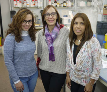 Perovskita y sus aplicaciones fotovoltaicas