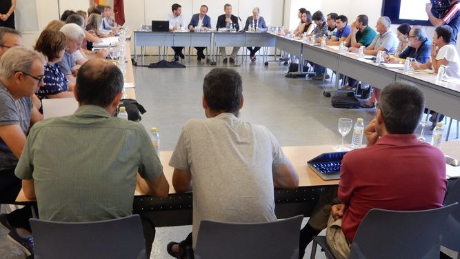 El Comité de Asesoramiento Científico constata los síntomas de recuperación del Mar Menor