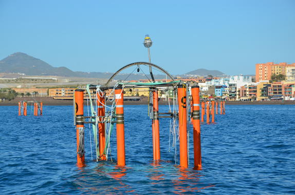 Innovador experimento analizará los efectos de la acidificación en aguas de Canarias