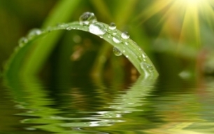 El máster más potente en medio ambiente y diagnosis ambiental