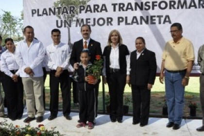 México. Plantando árboles