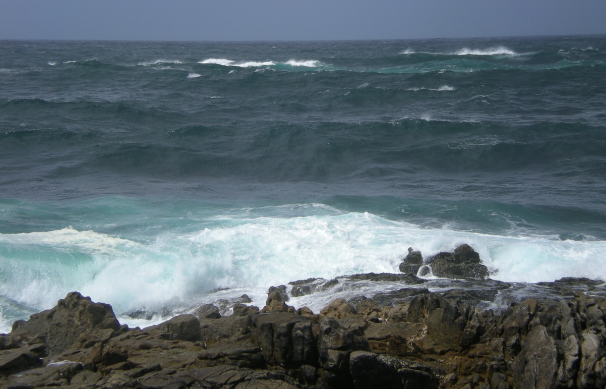 Galicia. Sogama se suma a la celebración del Día Mundial de los Océanos