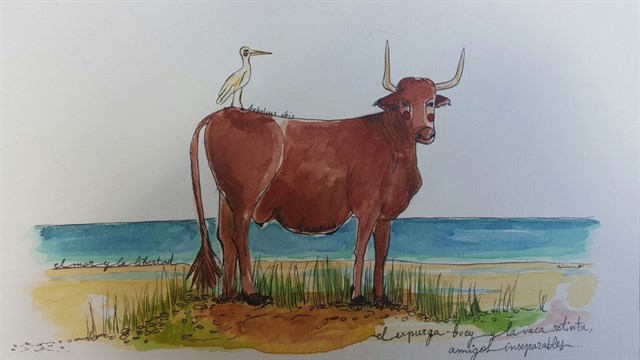 La flora y fauna del litoral gaditano protagonizan la nueva colección de acuarelas de la firma Mi abuela Lila