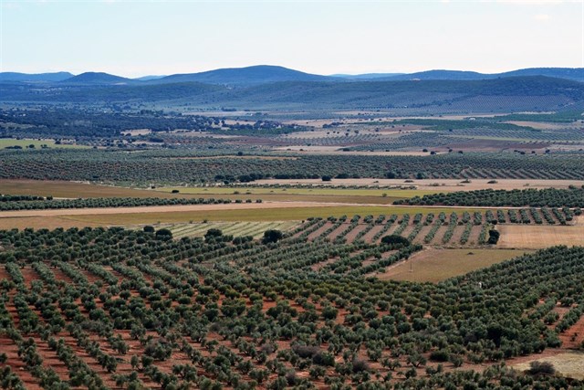 Quantum recibe informes y alegaciones al proyecto de minería de tierras raras en el Campo de Montiel