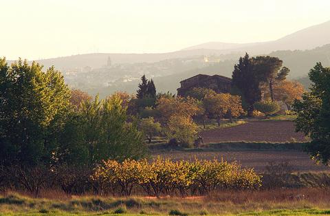México. Ocupa México cuarto lugar mundial en reforestación