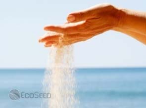 Dust particles in the atmosphere can influence climate