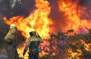 Los delitos ambientales se disparan en Galicia