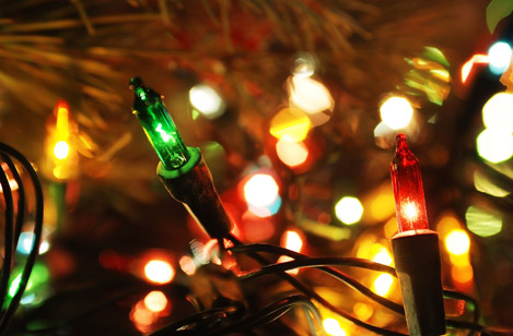 Campaña de recolección de árboles de Navidad naturales en el municipio de San José