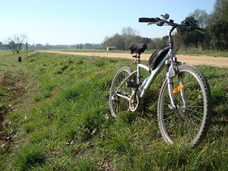 Turismo: alternativas sostenibles en tiempos de crisis