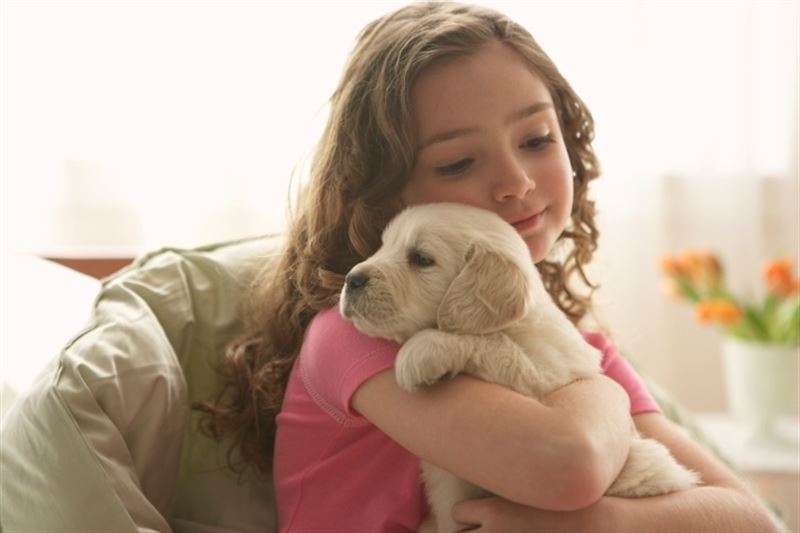 Te ayudamos a encontrar el mejor perro para tus hijos