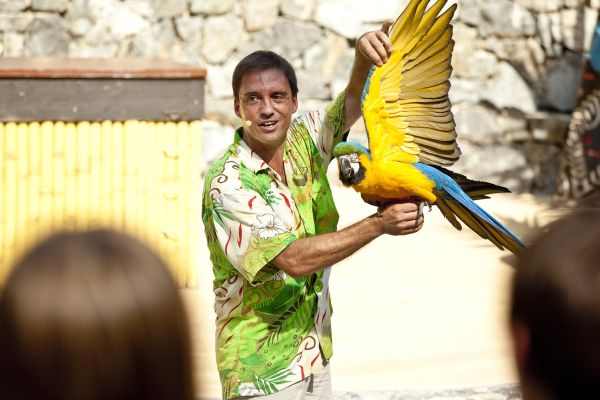 Lista de ‘zoos ilegales’ en Cataluña