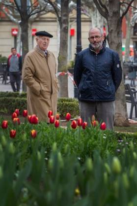 Logroño está entre las tres ciudades española con más zona verde