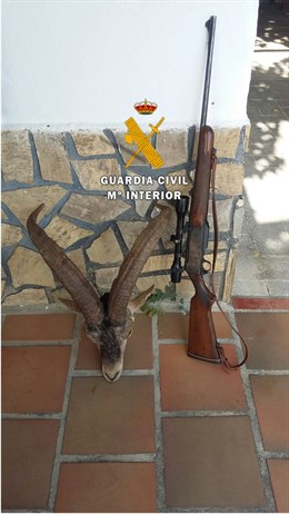 Detenido tras ser sorprendido después de cazar un ejemplar de cabra montés