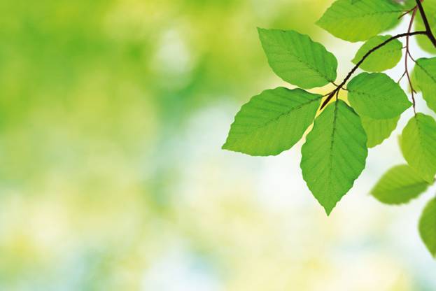 A la espera de las modificaciones en la legislación de Responsabilidad Medioambiental