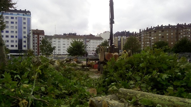 El Ayuntamiento de Aviles consuma el arboricidio de las Meanas