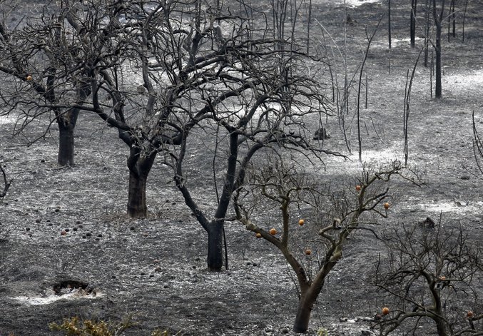 El fuego ha quemado tantas hectáreas como en todo el país el primer semestre del año
