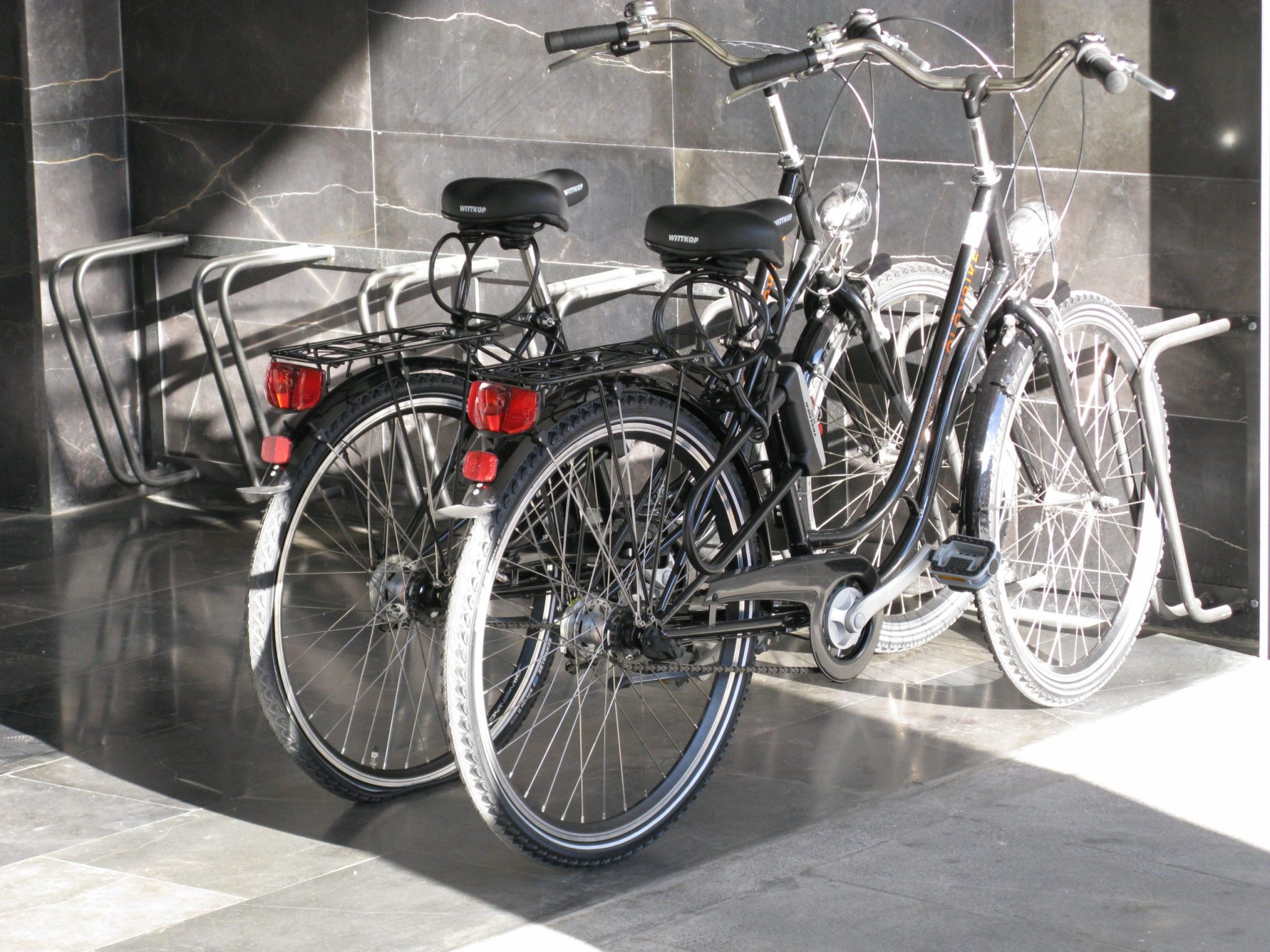 El Año Internacional de la Biodiversidad protagoniza el amplio programa de actividades organizadas en el Aula de Medio Ambiente Urbano en 2010