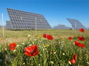 CBDE to see 64 MW solar power project rise in Thailand