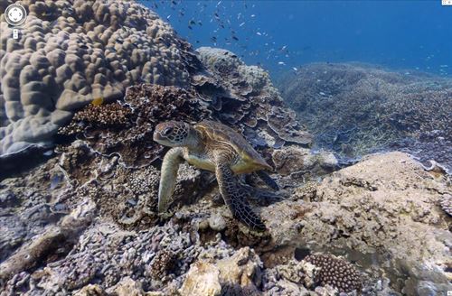 Alarma por el dragado cerca de la Gran Barrera de Coral australiana