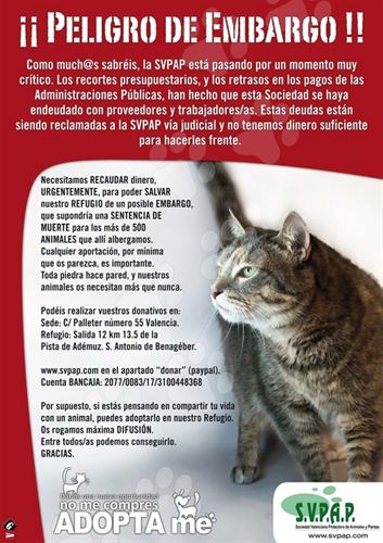 La Sociedad Valenciana protectora de Animales y Plantas pide ayuda económica para evitar sacrificar a más de seiscientos animales