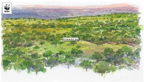 Casi 100 recetas para no destruir el planeta