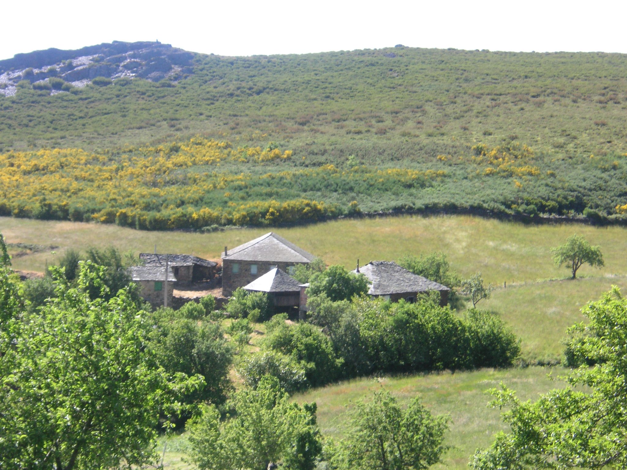 La Coordinadora Ecoloxista d’Asturies ha presentado sugerencias ante el Principado de Asturias con motivo del trámite ambiental del Parque eólico de Santiso en Ibias.