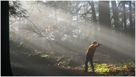 Las ciudades menos contaminadas del planeta