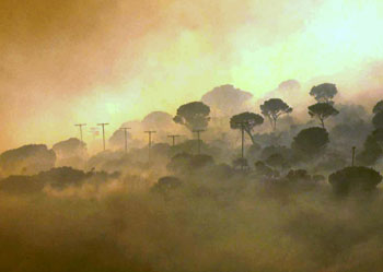 Ocho de cada diez incendios ocurren en los mismos lugares cada año