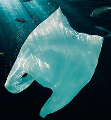 Sopelana se suma a la sustitución de las bolsas de plástico por las de fécula de patata