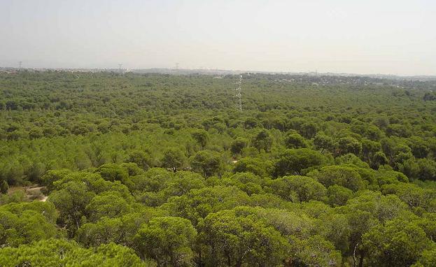Ni Cotino ni el Consell han puesto una sola señal o cartel en tres años anunciando que el Parc Natural del Turia "existe"