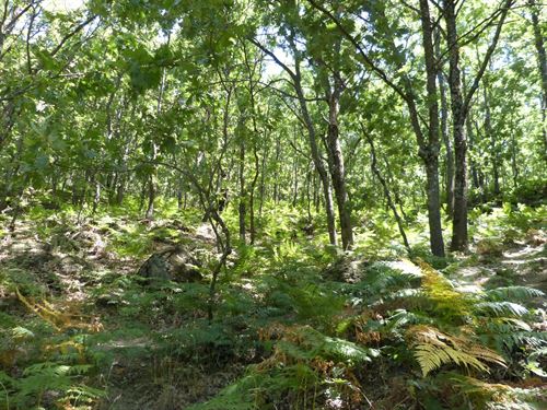 Los menores españoles no están concienciados con el medio ambiente