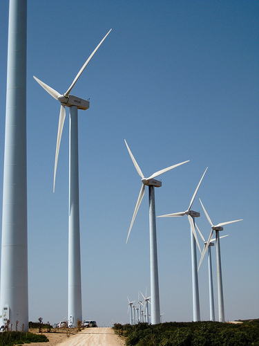 La Agencia Internacional de la Energía culminó ayer su conversión hacia el credo renovable