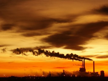 Nuevo enfoque para fijar los niveles de referencia de las emisiones es un primer paso crucial para REDD+