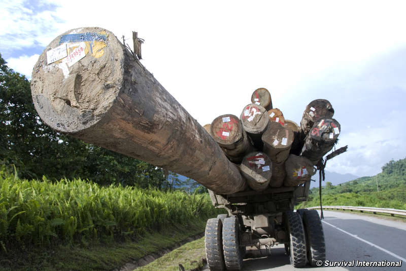 Un informe de derechos humanos de EE.UU. destaca la lucha de los Penan
